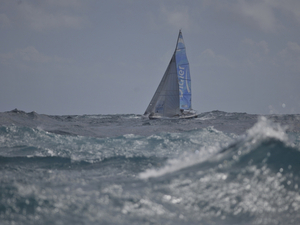 Un équipage « Surprise » 100% féminin sur The Round Martinique Regatta
