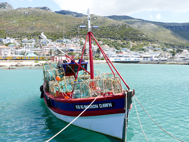 Nautisme Article