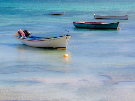 Autrefois très fréquenté par les pêcheurs locaux, le lagon est devenu avec l'ouverture de l'île au tourisme, un terrain de jeu pour la pêche sportive.