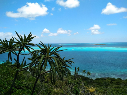 L'ancre posée, nous nous jetons à l'eau pour nous retrouver nez-à-nez avec des poissons multicolores et très curieux. Quelques brasses et nous voilà face à des raies, des tortues, des petits requins... L'ancre posée, nous nous jetons à l'eau pour nous retrouver nez-à-nez avec des poissons multicolores et très curieux. Quelques brasses et nous voilà face à des raies, des tortues, des petits requins...