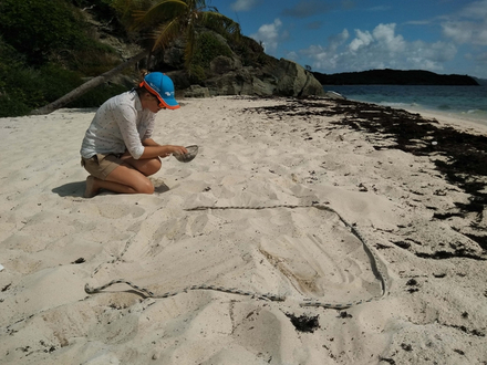 Alors que nous nous installions pour un pique-nique sur l'île Petit Bateau, nous découvrons que cette magnifique plage de sable blanc était en réalité couverte de micro-plastiques.