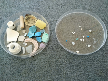 Nous n'avons pris qu'un seul échantillon sur cette plage et voici ce que nous avons trouvé : 17 micro-plastiques et 22 macro-plastiques dans 1m2 de sable... Nous n'avons pris qu'un seul échantillon sur cette plage et voici ce que nous avons trouvé : 17 micro-plastiques et 22 macro-plastiques dans 1m2 de sable...