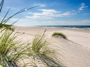 Une météo printanière pour les grandes marées...