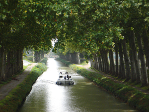Tourisme fluvial : le Canal du Midi est prêt pour la prochaine saison touristique