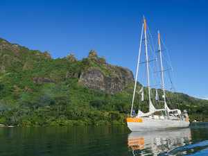 Plus que quelques jours pour découvrir l'exposition Tara à Cherbourg