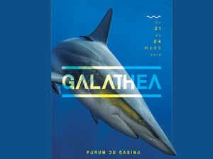 Festival Galathea : le monde sous-marin mis à l'honneur