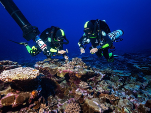 Expédition Under The Pole III : la plongée d'exploration au chevet des coraux profonds en Polynésie Française