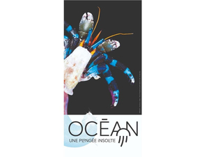 Immersion au coeur de l'océan au Museum d'Histoire Naturelle