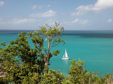 Voilier à Pearns Point