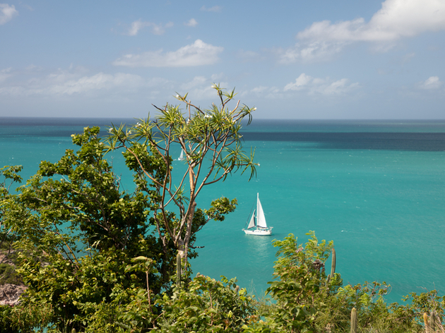 Voilier à Pearns Point Nautisme Article