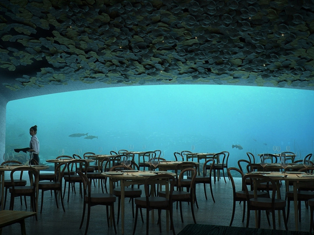 Au 3e "sous-sol", au plus profond du bâtiment, se trouve le restaurant avec une vue panoramique sur les fonds sous-marins. Le restaurant peut accueillir jusqu'à 100 personnes. Nautisme Article