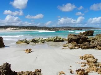Kangaroo Island, l'incontournable du sud de...