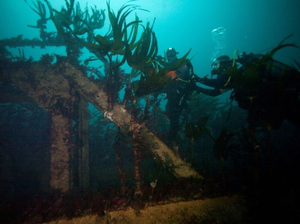 Bretagne : sous la mer, un patrimoine englouti à découvrir et valoriser