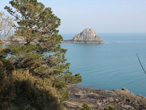 Les Rimains : une pépinière de marins