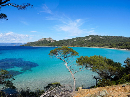 La Plage Notre Dame à Porquerolles : un lieu magique, surtout au petit matin, car l'eau y reste limpide et le premier bain donne envie d'y rester jusqu'au soir à farnienter. La Plage Notre Dame à Porquerolles : un lieu magique, surtout au petit matin, car l'eau y reste limpide et le premier bain donne envie d'y rester jusqu'au soir à farnienter.
