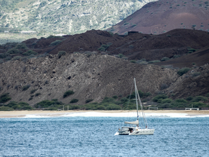 Île de l'Ascension, anomalie de l'évolution