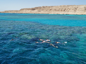 Dans les eaux bleues de la mer Rouge, le regain du tourisme menace les coraux