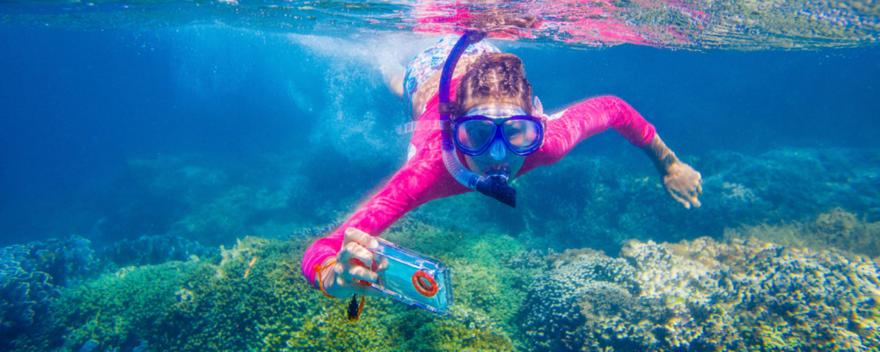 Comment Reussir Ses Photos Sous Marines Actualites Nautisme