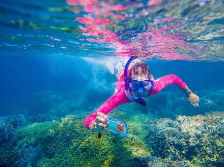 La précipitation est un vilain défaut ! Pour éviter d'être trop rapidement déçu du résultat, apprendre à manipuler son appareil est la première chose à faire avant de partir plonger. La précipitation est un vilain défaut ! Pour éviter d'être trop rapidement déçu du résultat, apprendre à manipuler son appareil est la première chose à faire avant de partir plonger.