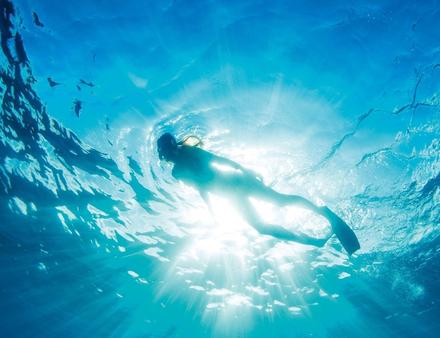 Pour réaliser vos plus beaux clichés en toute sécurité, la maîtrise de votre flottabilité et de votre équilibre dans l'eau est essentielle. Nautisme Article