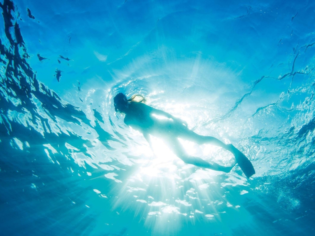 Pour réaliser vos plus beaux clichés en toute sécurité, la maîtrise de votre flottabilité et de votre équilibre dans l'eau est essentielle. Nautisme Article