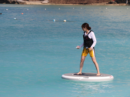 Le motoriste Yanmar investit le secteur des jouets nautiques avec le Wheebo, une sorte de paddle mais rond, &eacute;quip&eacute; d'un moteur &eacute;lectrique pour jouer dans l'eau.