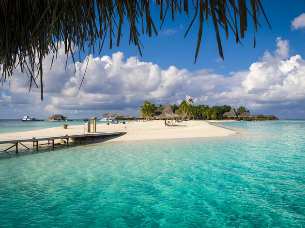 Préférez donc l'île de Veligandu, considérée comme l'une des plus belles îles de l'archipel. Nautisme Article
