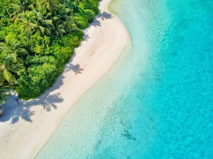 Les températures restent très agréables et varient peu au cours de la journée. Comptez entre 26 et 30°C en moyenne pour profiter de ce dépaysement. Les températures restent très agréables et varient peu au cours de la journée. Comptez entre 26 et 30°C en moyenne pour profiter de ce dépaysement.