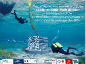 Agde : immersion de récifs artificiels imprimés en 3D pour reconquérir la biodiversité