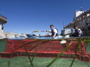 Marseille: une «course aux déchets» en kayak de mer