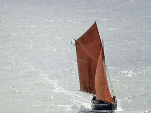 Voile : les bateaux oeuvres d'art et leurs fans réunis dans le Morbihan