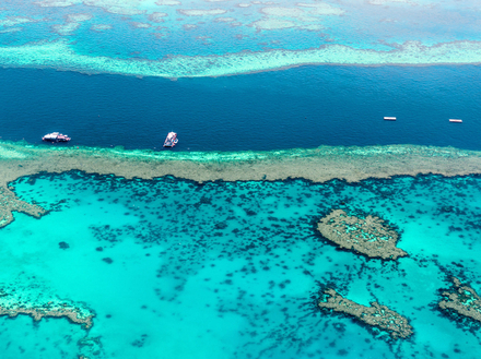 Depuis l'Australie, des écoles de plongées ou des locaux vous emmènent découvrir la Grande barrière, sous l'eau ou sur l'eau, dans le respect de l'environnement bien sûr.