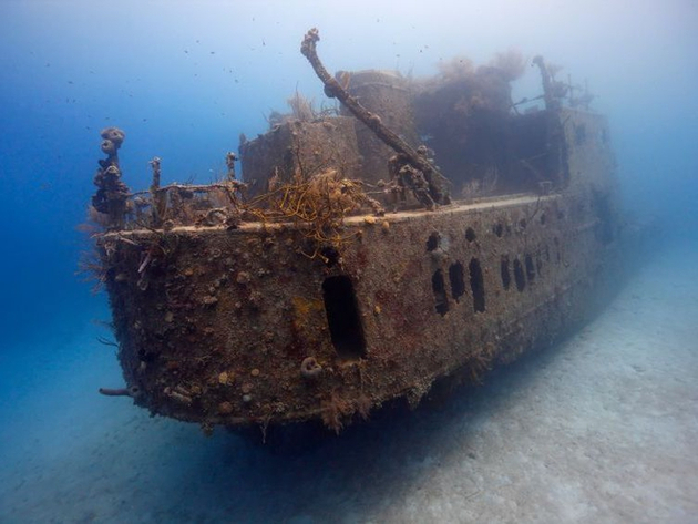 The Prince Albert, un cargo de 50 mètres de long coulé intentionnellement en 1985. Il a depuis été colonisé par la flore sous-marine et abrite de nombreuses espèces de poissons. Nautisme Article
