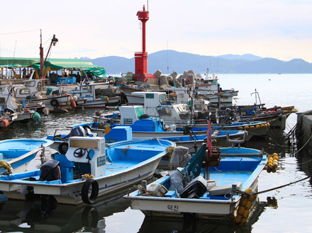 La pêche en haute mer vous permettra d'apprécier la nourriture typique de l'île. 
