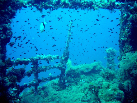  Coulée en 1942, le cargo de 110 mètres de long repose à 50 mètres de profondeur.