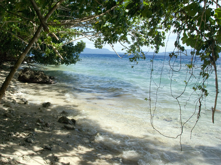 L'île Tetepare de 182 km2 n'est dérangée par aucune présence humaine.