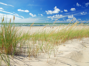 Tour d'horizon des vents régionaux