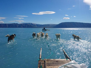 Réchauffement climatique : une nouvelle saison en enfer au Groenland