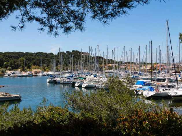 Cela fait maintenant quinze ans que le port se bat pour préserver l'environnement et protéger la faune et la flore de l'île des Embiez. Nautisme Article