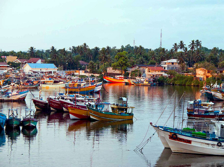 Le port de Beruwala, au sud de l'île, est l'un des plus emblématiques. Le port de Beruwala, au sud de l'île, est l'un des plus emblématiques.