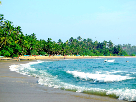 Mirissa, longue langue de sable blanc, est aussi une plage très recherchée pour le farniente car elle a été quasi épargnée par le tsunami de 2004.