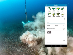 Protégez la mer et partagez vos observations en temps réels avec l'appli Donia
