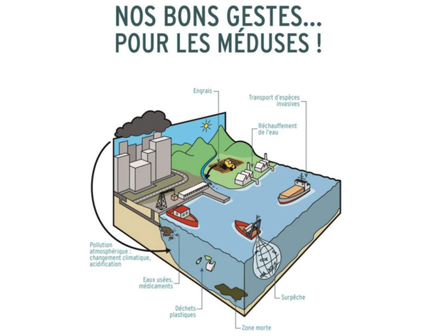 Nautisme Article