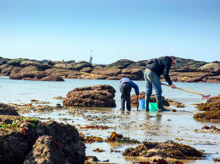  La mer se retirera assez loin &agrave; mar&eacute;e basse, permettant de profiter des plaisirs de la p&ecirc;che &agrave; pied.