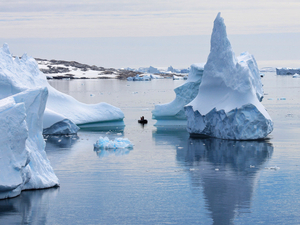 Nouveau métier : chasseur d'icebergs au Canada ! 