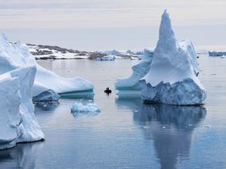 Nouveau métier : chasseur d'icebergs au Canada ! 