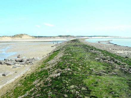 Berck-sur-Mer (62) Berck-sur-Mer (62)