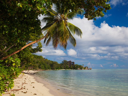La plage est encore plus magique au coucher du soleil, lorsque celui-ci colore de rose le paysage. La plage est encore plus magique au coucher du soleil, lorsque celui-ci colore de rose le paysage.