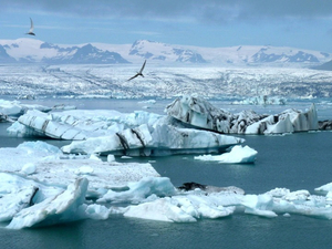Une plaque commémorative pour le premier glacier d'Islande disparu