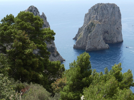 L'île qui jouit d'un climat tempéré, abrite l'une des flores les plus riches d'Italie.
